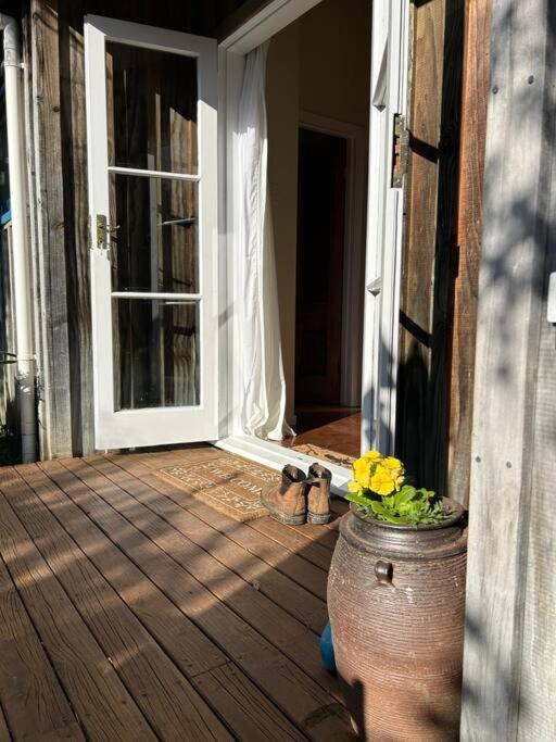The Studio Apartment Coromandel Exterior photo